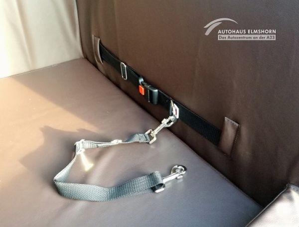 Travelmat Hundebox Jagdmobil Pickup